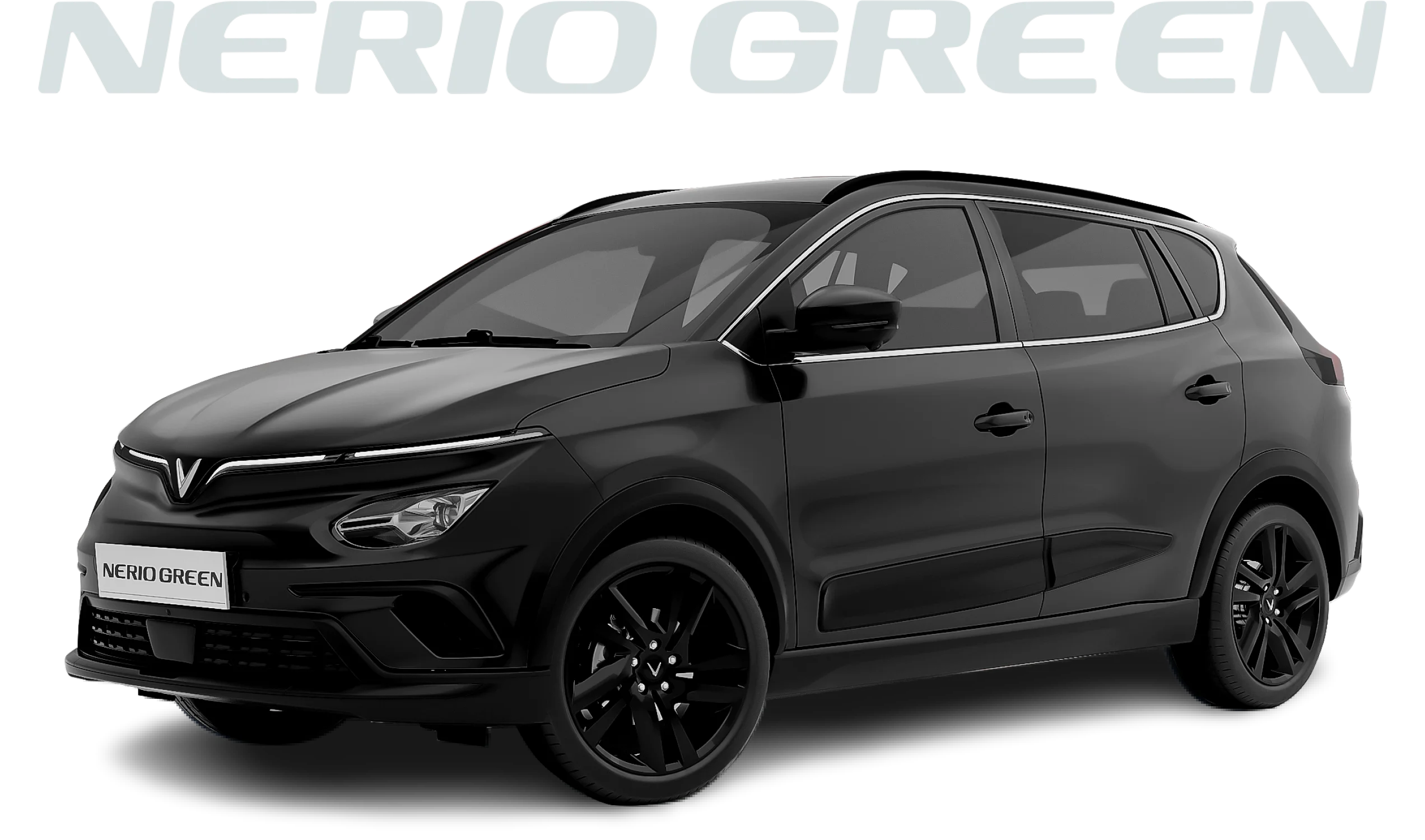 NerioGreen